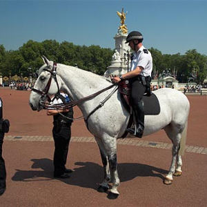 Londyn. Policjanci przed pałacem Buckingham